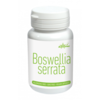 Boswellia serrata 60 vegane Kapseln